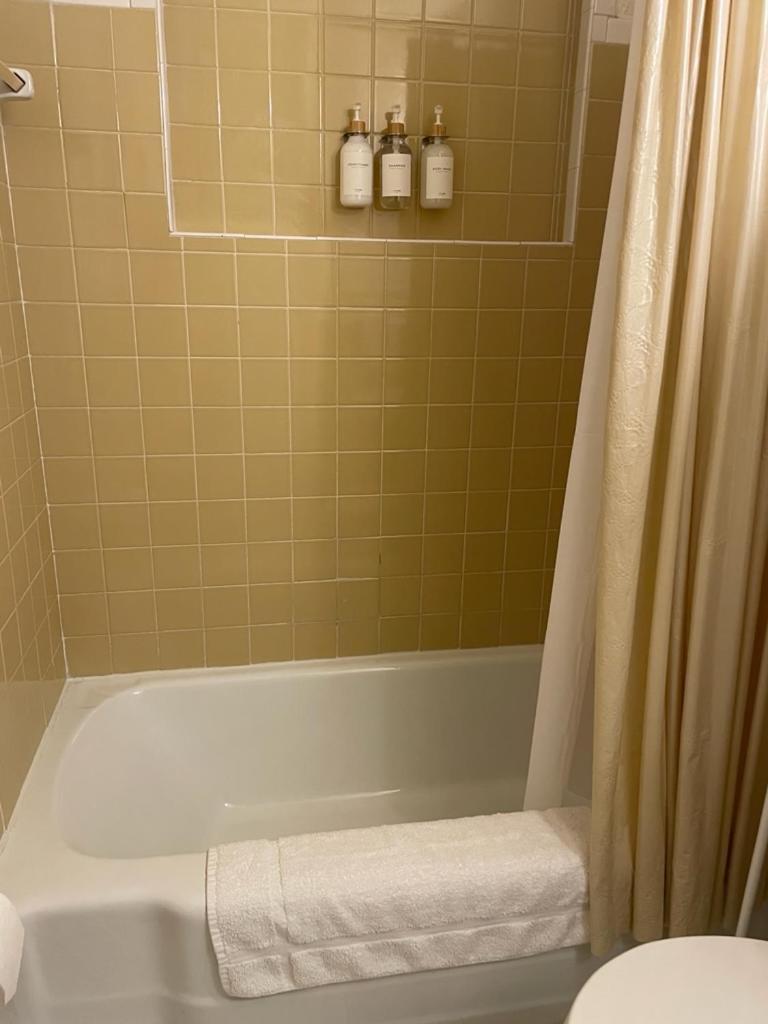 West-End Downtown Charlotte - Easy Access To Airport & Jcsu Exterior foto